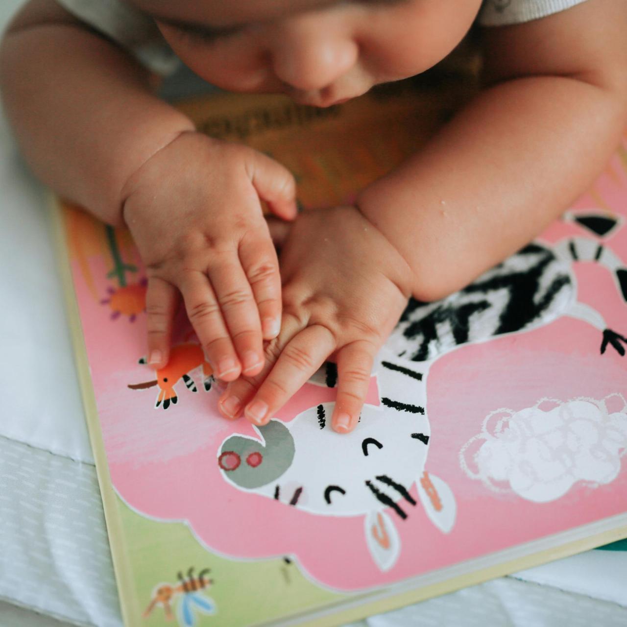 Baby betastet Pappbuch